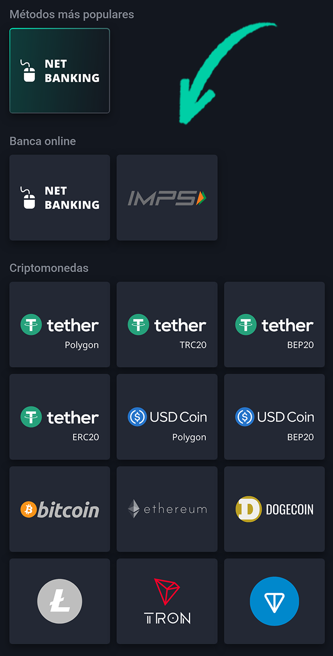 Select your preferred payment method and enter the necessary details on Pin Up.