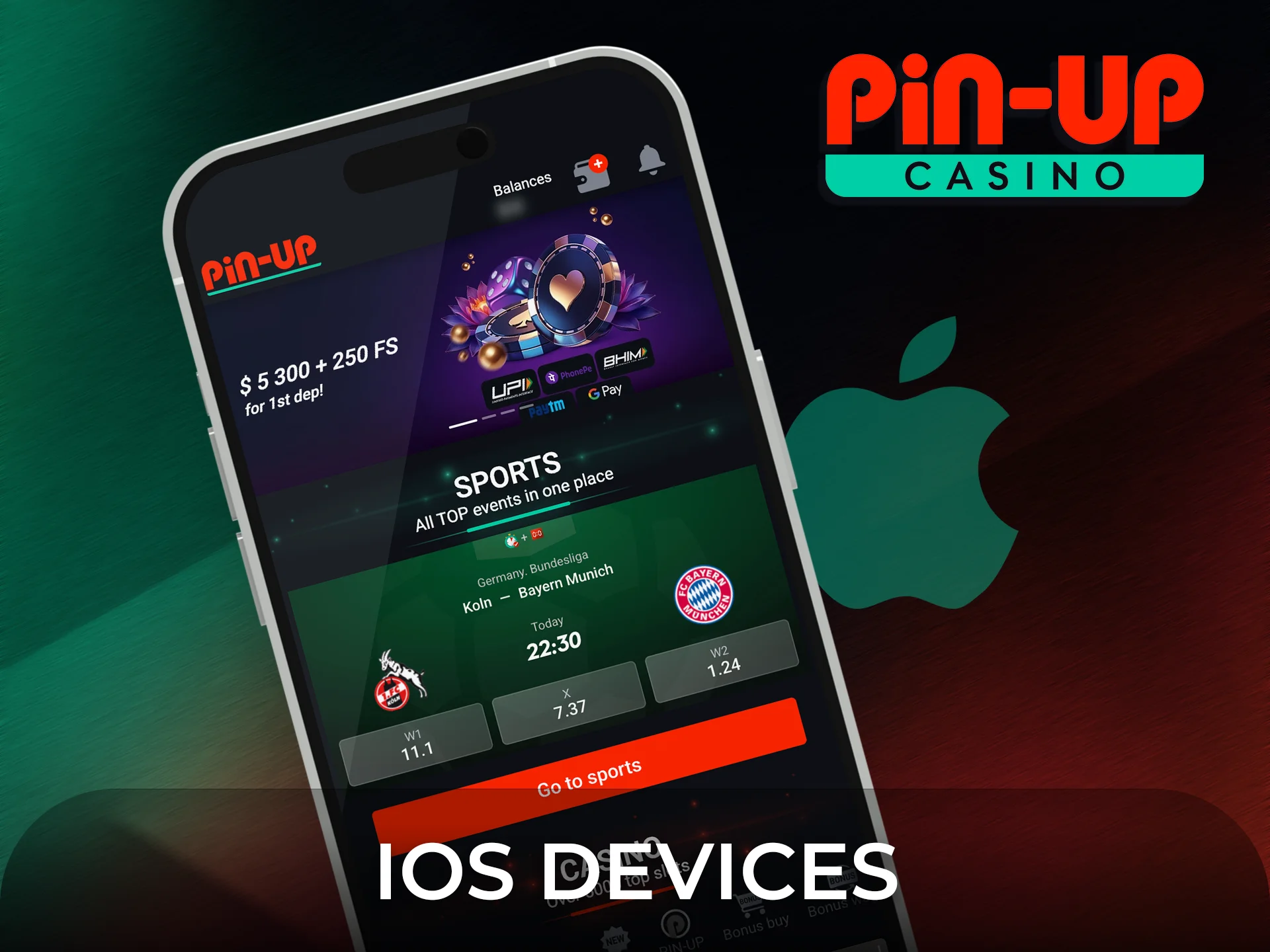 See the compatible and suitable iOS devices for the Pin-Up app.