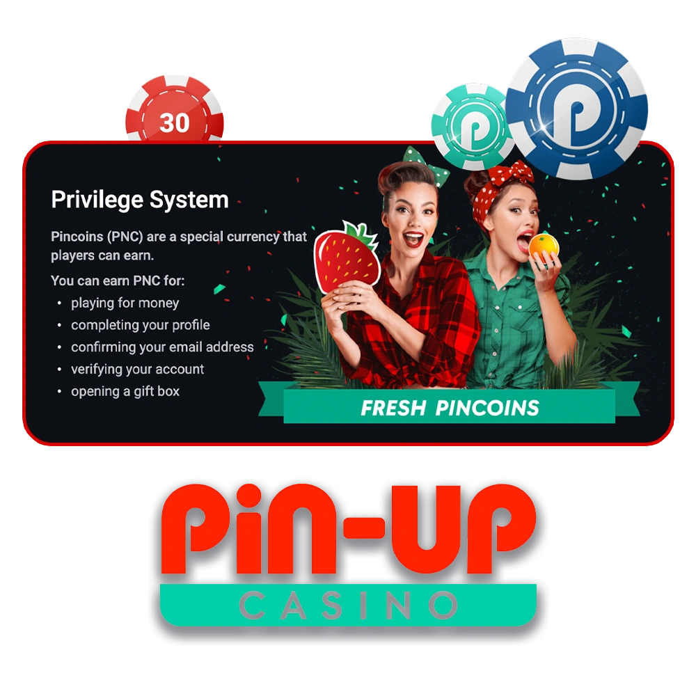 Join the exclusive Loyalty Program at Pin-Up to earn special rewards.